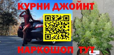 гидра Будённовск