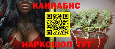 гидра Будённовск