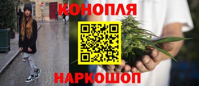 гидра Будённовск