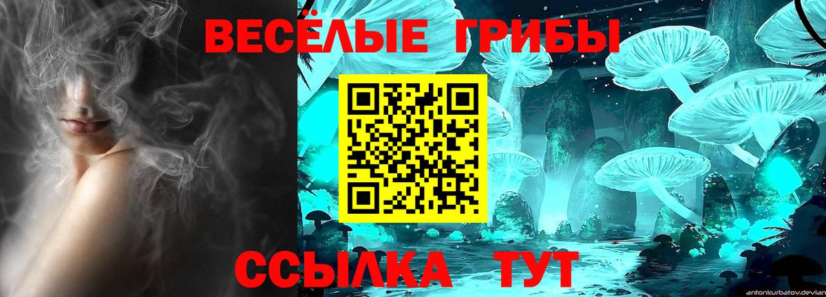 Галлюциногенные грибы Psilocybine cubensis  Вход с VPN  Россошь  Псилоцибиновые грибы мухоморы 